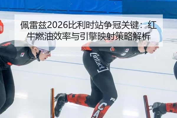 pei-lei-zi-bi-li-shi-zhan-zheng-guan-guan-jian-hong-niu-ran-you-xiao-lv-yu-yin-qing-ying-she-ce-lve-jie-xi-3-465.jpg
